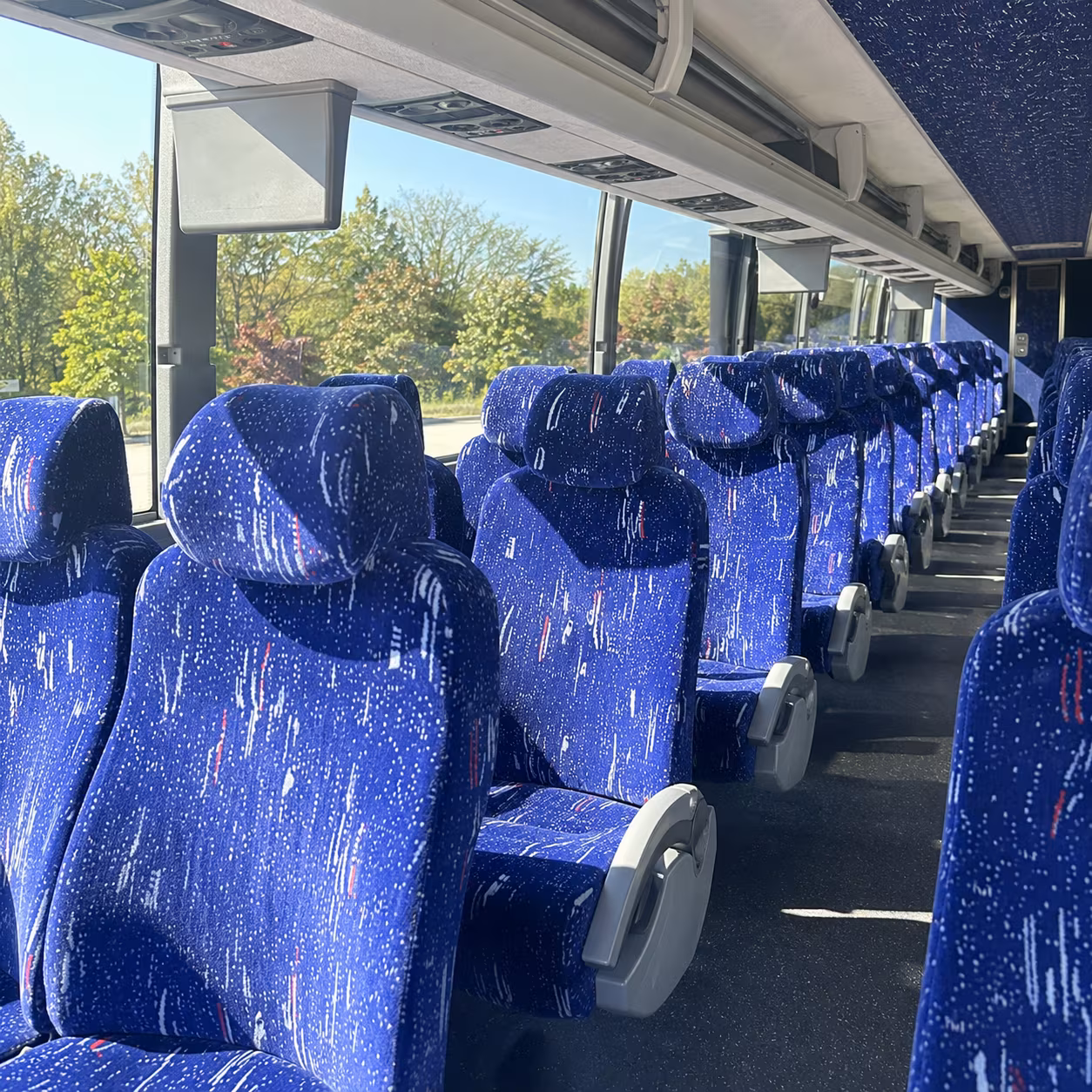 minnesota zoo field trip bus rentals from coon rapids