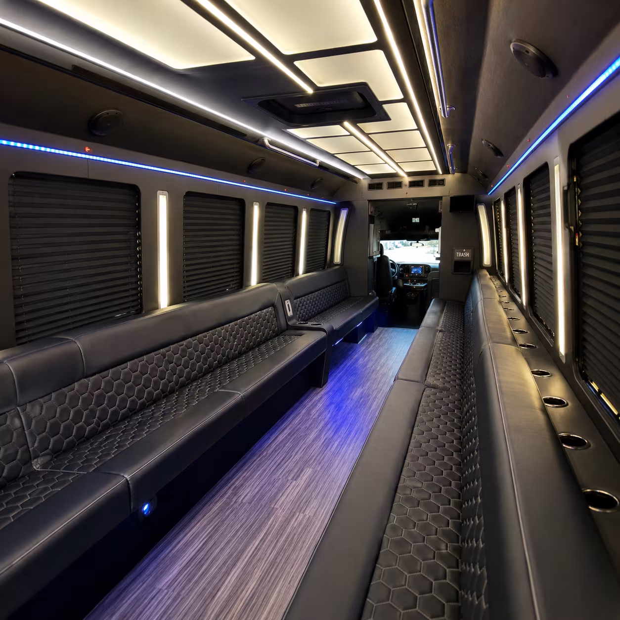 vikings party bus rental