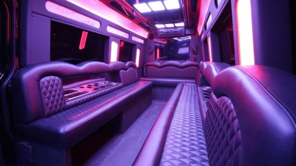 coon rapids sprinter limo rental rental